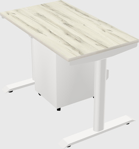 Dual motor electric desk