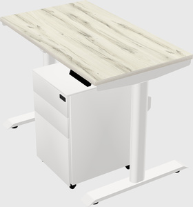 Dual motor electric desk