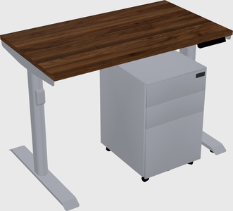Dual motor electric desk