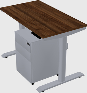 Dual motor electric desk