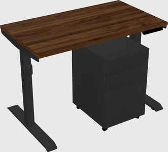 Dual motor electric desk