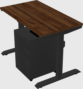 Dual motor electric desk