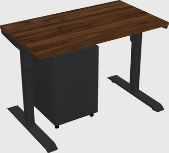Dual motor electric desk