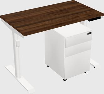 Dual Motor Electric Desk