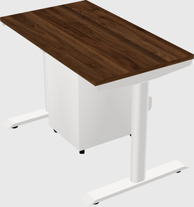 Dual motor electric desk