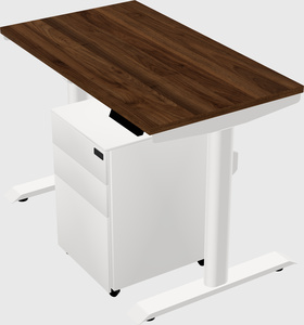 Dual motor electric desk