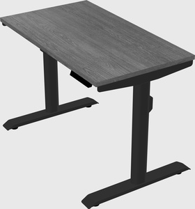 Dual motor electric desk