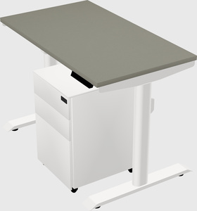 Dual motor electric desk