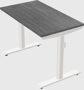 Dual motor electric desk