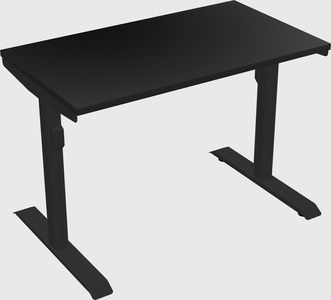 Dual motor electric desk