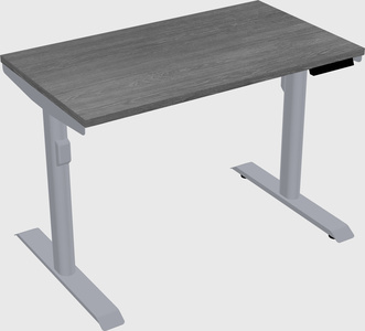 Dual motor electric desk