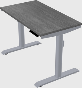 Dual motor electric desk
