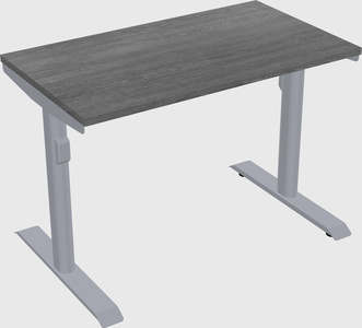 Dual motor electric desk
