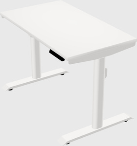 Dual motor electric desk