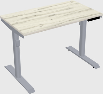 Dual motor electric desk