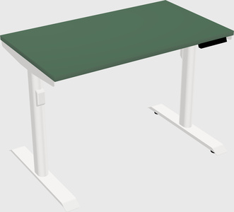 Dual motor electric desk