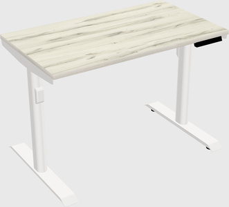 Dual motor electric desk