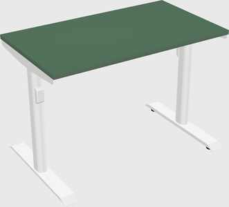 Dual motor electric desk