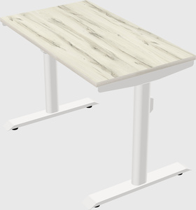 Dual motor electric desk