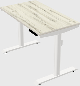 Dual motor electric desk