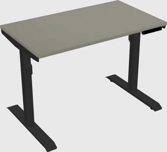 Dual motor electric desk