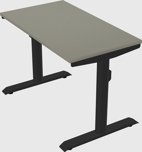 Dual motor electric desk