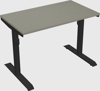 Dual motor electric desk
