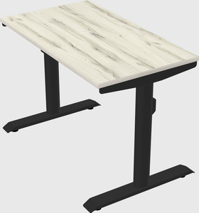 Dual motor electric desk