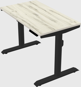 Dual motor electric desk