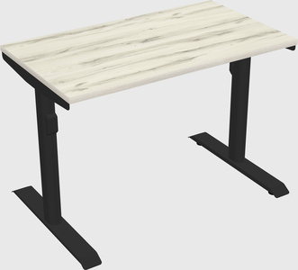 Dual motor electric desk
