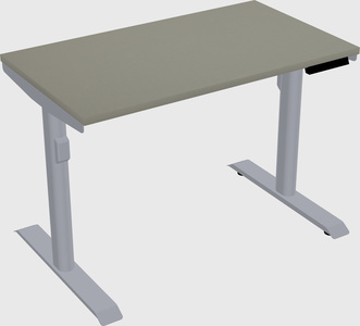Dual motor electric desk