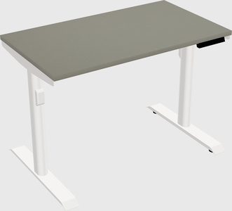 Dual motor electric desk