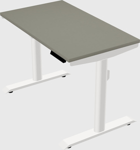 Dual motor electric desk