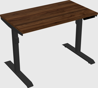 Dual motor electric desk