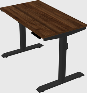 Dual motor electric desk