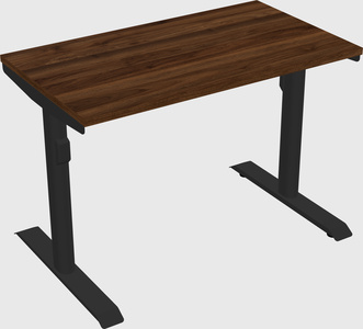 Dual motor electric desk