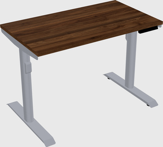 Dual motor electric desk