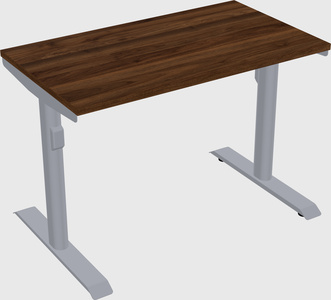 Dual motor electric desk