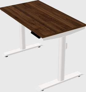 Dual motor electric desk