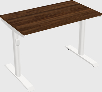 Dual motor electric desk