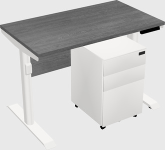 Dual Motor Electric Desk