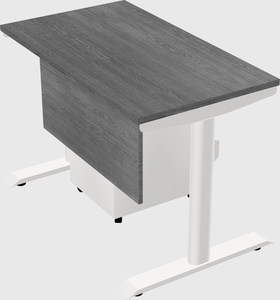 Dual motor electric desk