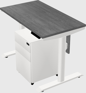 Dual motor electric desk
