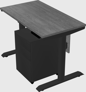 Dual motor electric desk