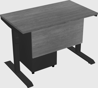 Dual motor electric desk