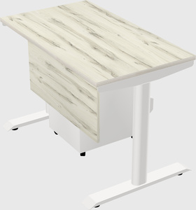 Dual motor electric desk