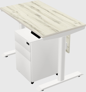 Dual motor electric desk