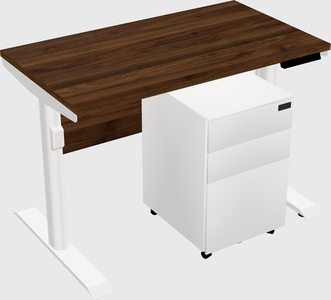 Dual Motor Electric Desk
