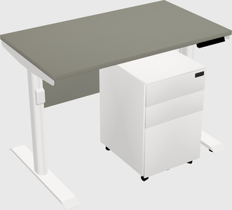Dual Motor Electric Desk