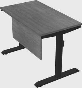 Dual motor electric desk